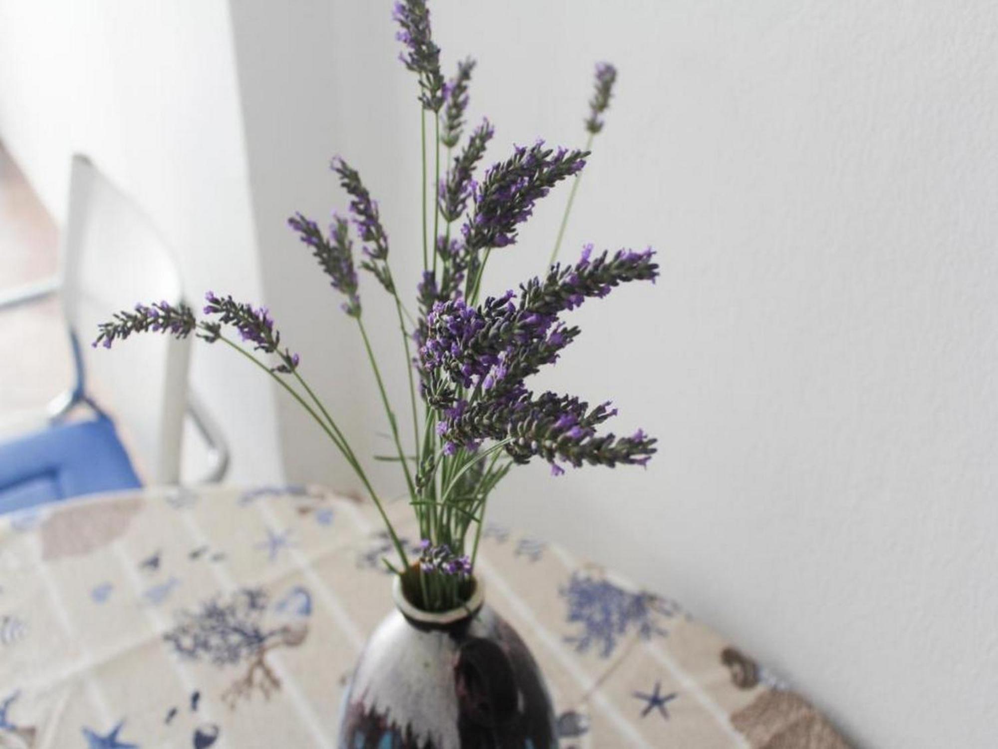 Apartmani Lucia Biograd Biograd Na Moru Habitación foto